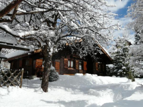 Отель Chalet des Glaciers  Шамони